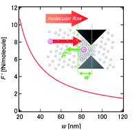 Graphical abstract: Force applied to a single molecule at a single nanogate molecule filter