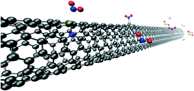 Graphical abstract: Phosphorus and phosphorus–nitrogen doped carbon nanotubes for ultrasensitive and selective molecular detection