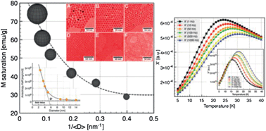 Graphical abstract: Size-dependent properties of magnetic iron oxide nanocrystals