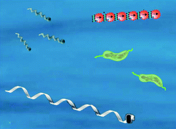 Graphical abstract: Magnetically actuated propulsion at low Reynolds numbers: towards nanoscale control