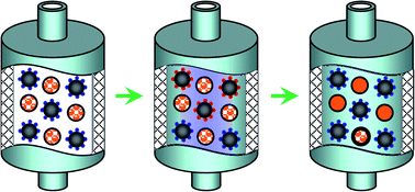 Graphical abstract: Encapsulated nano-heat-sinks for thermal management of heterogeneous chemical reactions