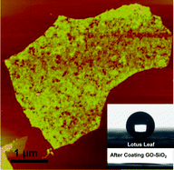 Graphical abstract: Making silica nanoparticle-covered graphene oxide nanohybrids as general building blocks for large-area superhydrophilic coatings