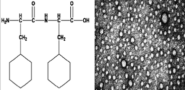 Graphical abstract: Probing the role of aromaticity in the design of dipeptide based nanostructures