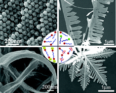 Graphical abstract: Surfactant-assisted, shape-controlled synthesis of gold nanocrystals