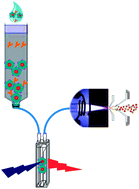 Graphical abstract: New integrated elemental and molecular strategies as a diagnostic tool for the quality of water soluble quantum dots and their bioconjugates