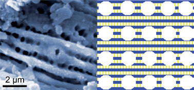 Graphical abstract: Hierarchical mesostructured titanium phosphonates with unusual uniform lines of macropores