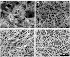 Graphical abstract: Polyethylene glycol-directed SnO2 nanowires for enhanced gas-sensing properties