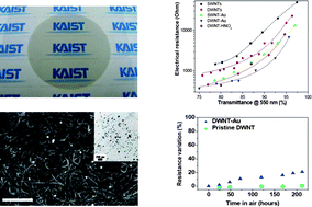 Graphical abstract: Recent advances in hybrids of carbon nanotube network films and nanomaterials for their potential applications as transparent conducting films