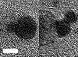 Graphical abstract: Healing and sealing carbon nanotubes—growth and closure within a transmission electron microscope