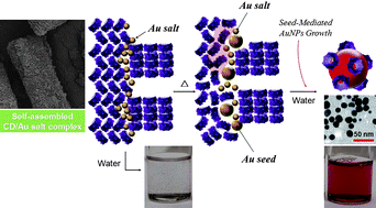 Graphical abstract: Colloidal gold nanoparticle formation derived from self-assembled supramolecular structure of cyclodextrin/Au salt complex