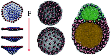 Graphical abstract: Self-standing nanoparticle membranes and capsules