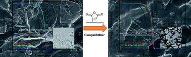 Graphical abstract: Preparation and characterization of polypropylene-graft-thermally reduced graphite oxide with an improved compatibility with polypropylene-based nanocomposite