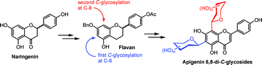 Graphical abstract: Regioselective synthesis of di-C-glycosylflavones possessing anti-inflammation activities