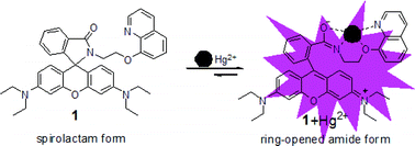 Graphical abstract: Rhodamine-based chemosensor for Hg2+ in aqueous solution with a broad pH range and its application in live cell imaging