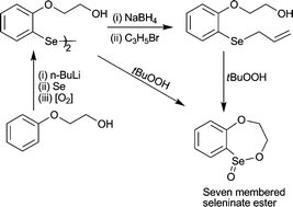 Graphical abstract: 2-Phenoxyethanol derived diselenide and related compounds; synthesis of a seven-membered seleninate ester