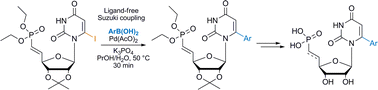 Graphical abstract: Synthesis of C-6-substituted uridine phosphonates through aerobic ligand-free Suzuki–Miyaura cross-coupling