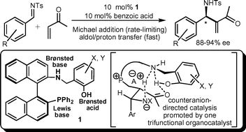 Graphical abstract: Mechanistic investigations of multidentate organocatalyst-promoted counterion catalysis for fast and enantioselective aza-Morita–Baylis–Hillman reactions at ambient temperature
