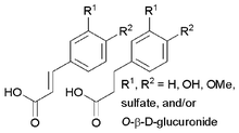 Graphical abstract: First synthesis, characterization, and evidence for the presence of hydroxycinnamic acid sulfate and glucuronide conjugates in human biological fluids as a result of coffee consumption