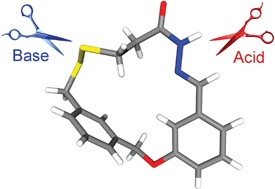 Graphical abstract: Synthesis and solid state structure of a hydrazone-disulfide macrocycle and its dynamic covalent ring-opening under acidic and basic conditions