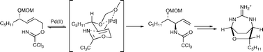 Graphical abstract: Stereoselective synthesis of the bicyclic guanidine alkaloid (+)-monanchorin
