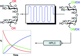 Graphical abstract: Flow chemistry kinetic studies reveal reaction conditions for ready access to unsymmetrical trehalose analogues