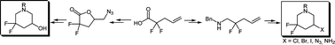 Graphical abstract: Synthesis of 5-amino- and 5-hydroxy-3,3-difluoropiperidines
