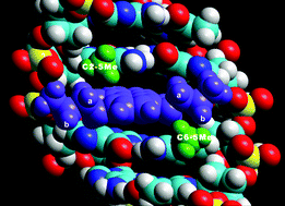 Graphical abstract: DNA binding by pixantrone