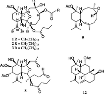 Graphical abstract: Klysimplexins I–T, eunicellin-based diterpenoids from the cultured soft coral Klyxum simplex