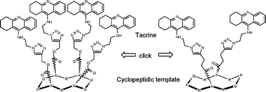 Graphical abstract: Clicked tacrine conjugates as acetylcholinesterase and β-amyloid directed compounds