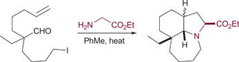 Graphical abstract: Synthesis of the core ring system of the stemona alkaloids by cascade condensation, cyclization, intramolecular cycloaddition