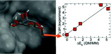 Graphical abstract: Computational and experimental investigations of mono-septanoside binding by Concanavalin A: correlation of ligand stereochemistry to enthalpies of binding