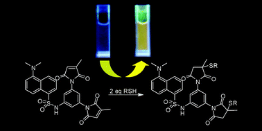 Graphical abstract: Dramatic increase of quench efficiency in “spacerless” dimaleimide fluorogens