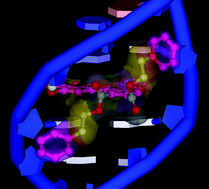 Graphical abstract: Structural basis for the potential antitumour activity of DNA-interacting benzo[kl]xanthene lignans