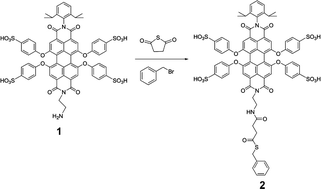 Graphical abstract: Site-specific incorporation of perylene into an N-terminally modified light-harvesting complex II