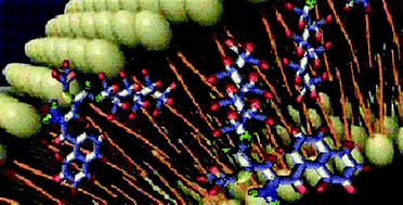 Graphical abstract: Strategies for improving the water solubility of new antitumour nitronaphthylbutadiene derivatives