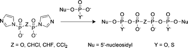 Graphical abstract: P 1,P2-Diimidazolyl derivatives of pyrophosphate and bis-phosphonates – synthesis, properties, and use in preparation of dinucleoside tetraphosphates and analogs