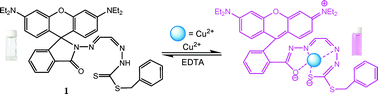 Graphical abstract: Highly sensitive and selective colorimetric and off-on fluorescent probe for Cu2+ based on rhodamine derivative