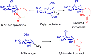 Graphical abstract: Synthesis of sugar-derived spiroaminals via lactamization and metathesis reactions