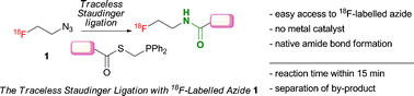 Graphical abstract: The traceless Staudinger ligation for indirect 18F-radiolabelling