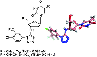 Graphical abstract: Synthesis, modeling and evaluation of 3′-(1-aryl-1H-tetrazol-5-ylamino)-substituted 3′-deoxythymidine derivatives as potent and selective human mitochondrial thymidine kinase inhibitors