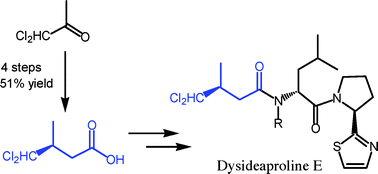 Graphical abstract: Synthesis of dysideaproline E using organocatalysis