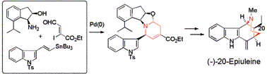 Graphical abstract: Total synthesis of (−)-20-epiuleinevia stereocontrolled one-pot asymmetric azaelectrocyclization followed by novel 1,4-addition reaction