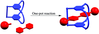 Graphical abstract: One-pot synthesis of donor–acceptor [2]rotaxanes based on cryptand–paraquat recognition motif