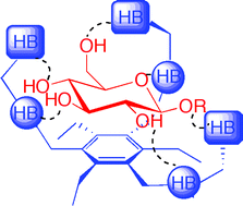 Graphical abstract: Pyrrolic tripodal receptors for carbohydrates. Role of functional groups and binding geometry on carbohydrate recognition