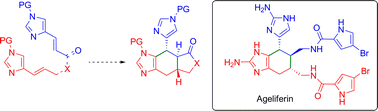 Graphical abstract: Intramolecular Diels–Alder chemistry of 4-vinylimidazoles