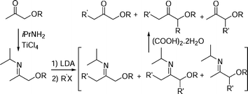 Graphical abstract: New general synthesis of α-alkoxyketones via α′-alkylation, α-alkylation and α,α′-dialkylation of α-alkoxyketimines