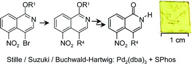 Graphical abstract: Synthesis of 4-alkyl-, 4-aryl- and 4-arylamino-5-aminoisoquinolin-1-ones and identification of a new PARP-2 selective inhibitor