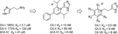 Graphical abstract: Pyridinium derivatives of histamine are potent activators of cytosolic carbonic anhydrase isoforms I, II and VII