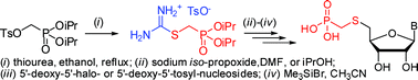 Graphical abstract: Synthesis of novel deoxynucleoside S-methylphosphonic acids using S-(diisopropylphosphonomethyl)isothiouronium tosylate, a new equivalent of mercaptomethylphosphonate