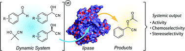 Graphical abstract: In Situ Evaluation of Lipase Performances Through Dynamic Asymmetric Cyanohydrin Resolution